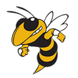 Hinsdale South logo